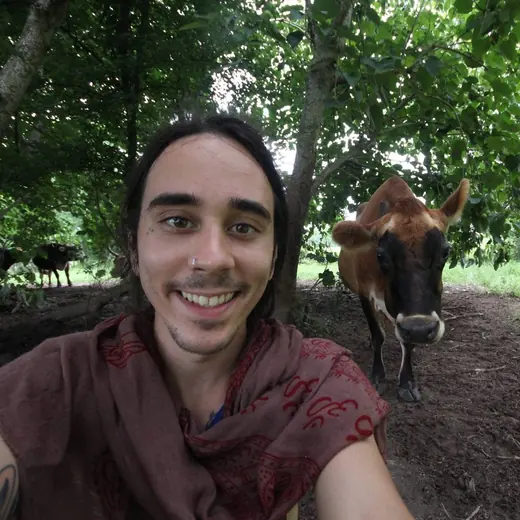 cow selfie